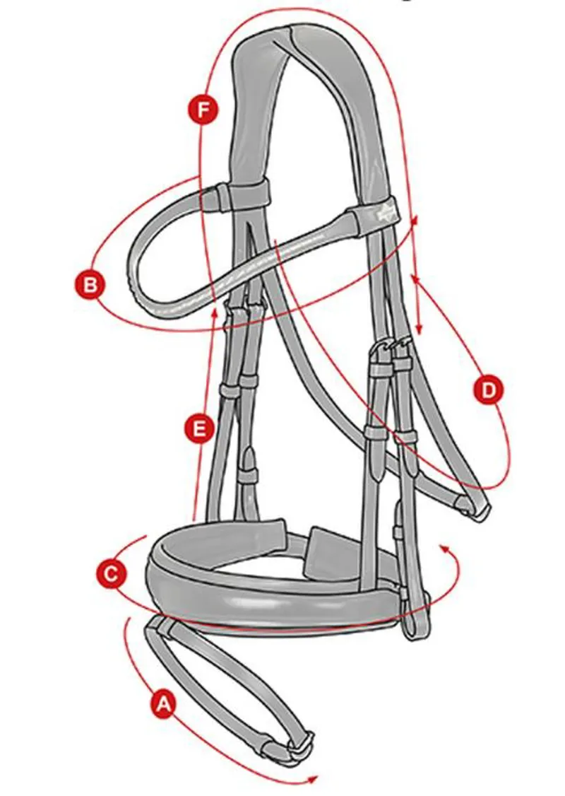 LeMieux Dressage Bridle Size Guide 